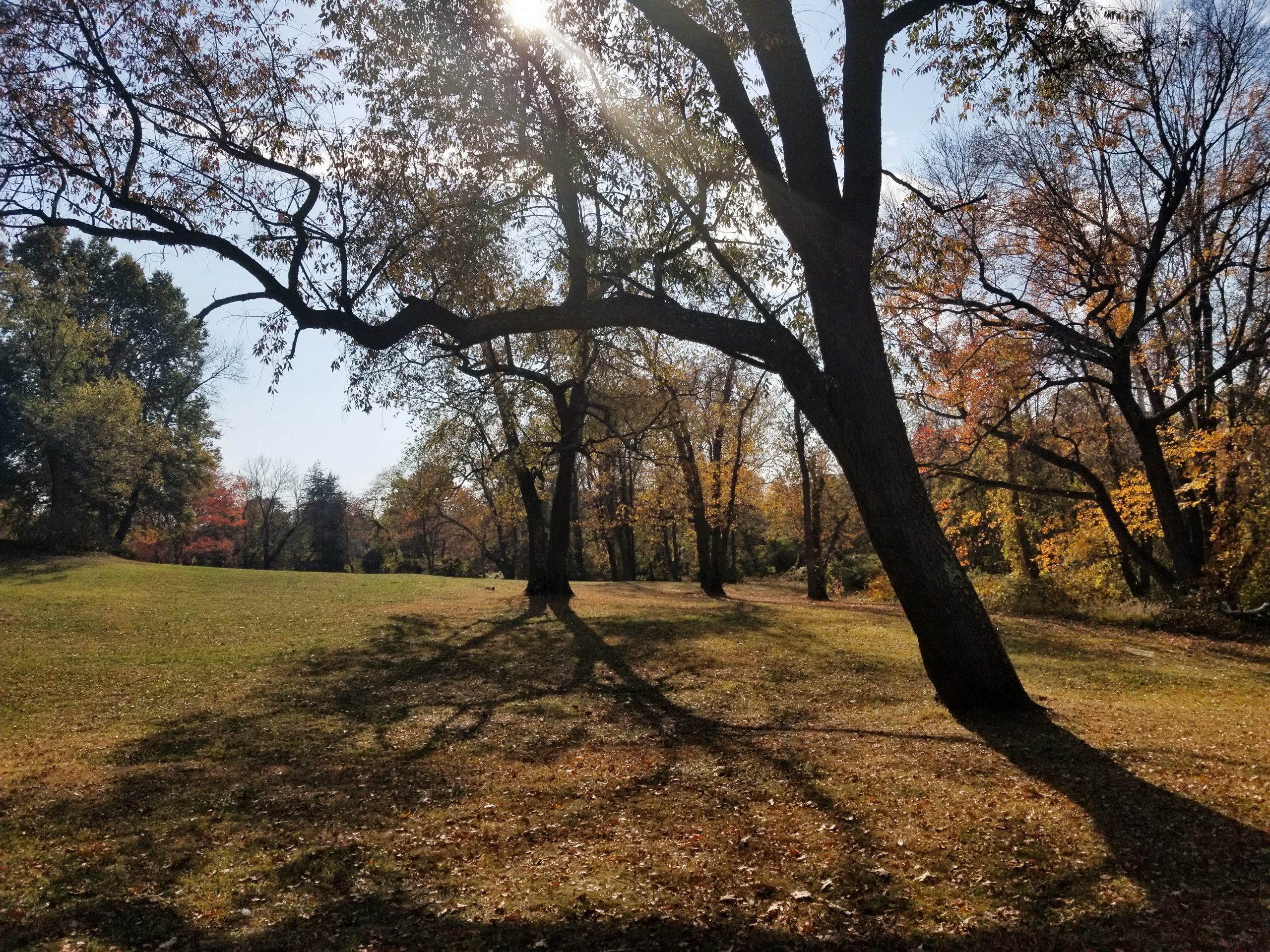 JeffersonManorPark